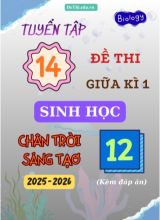 Tuyển tập 14 Đề thi giữa kì 1 năm học 2025-2026 môn Sinh học 12 CTST (Kèm đáp án)
